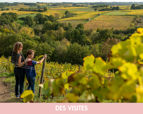 visite du musee du vin