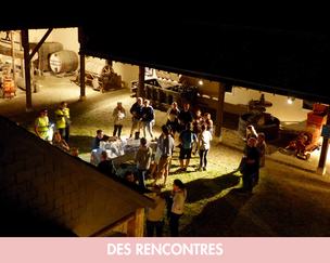 faire les vendanges découvrir